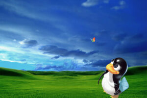 Linux Hunting Windows3001517229